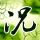 楚乔传